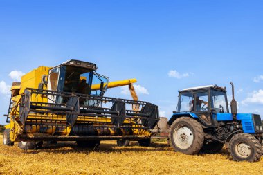 Hasat ve traktörü olgunlaşmış buğday tarlasında mavi gökyüzünün altında at arabasıyla birleştirin. Yaz tarım manzarası. Tahıl hazırlama