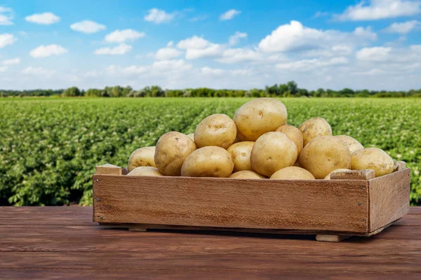 Young Potatoes Crate Wooden Table Blooming Field Blue Sky Background — ストック写真