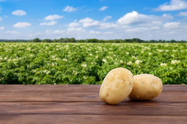 two young potatoes on wooden table with blooming field and blue sky on the background