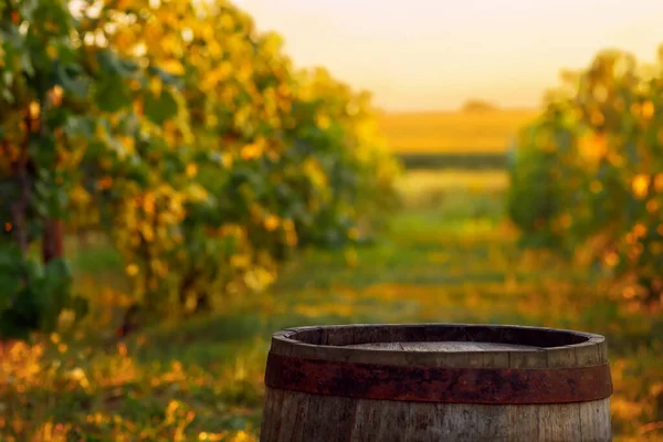 old wooden barrel for wine on vineyard in countryside at sunset