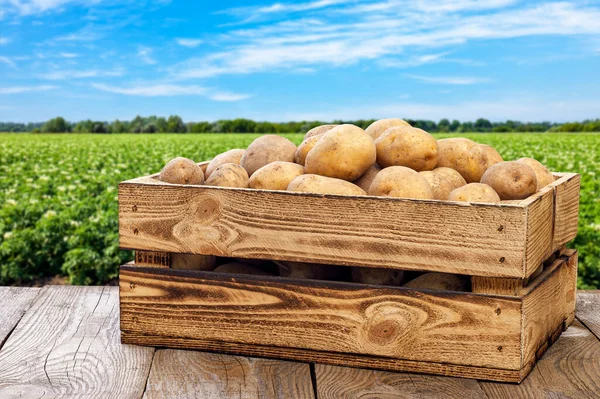 緑の畑と青空を背景にしたテーブルの上の木製の箱の中のジャガイモ — ストック写真