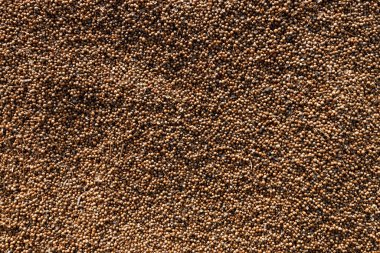 Arkaplan olarak kuru kişniş tohumlarının üst görünümü