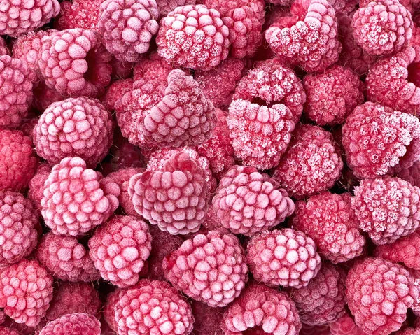 Fondo de frambuesas rojas maduras congeladas cubiertas de escarcha. — Foto de Stock