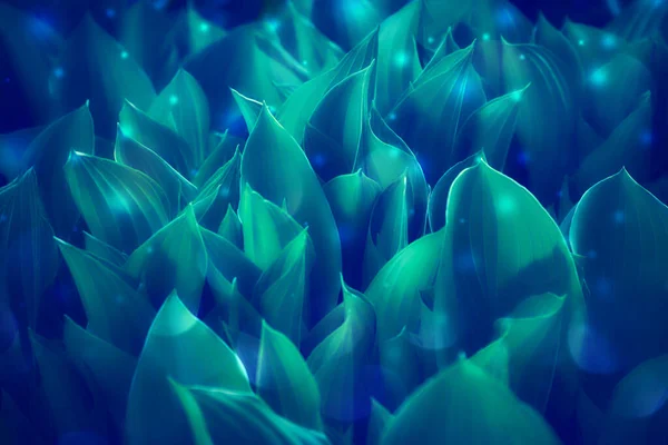 Fantasy spring or summer background. Mystery night leaves of magic plant with defocus shiny lights. 
