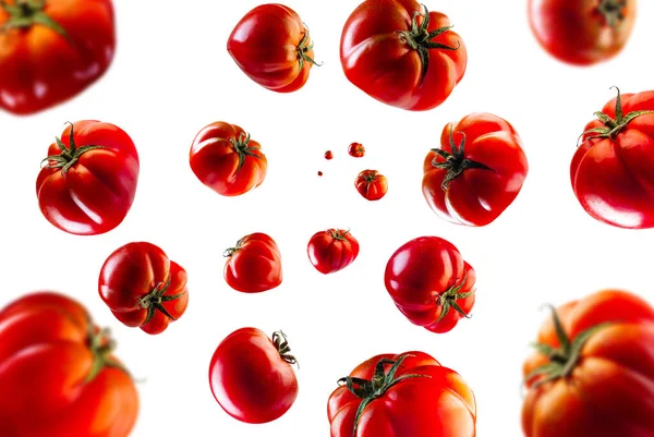 Collection Pachino Tomato Falling Isolated White Background Selective Focus — Stock Photo, Image