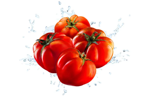 Vatten Stänk Färsk Pachino Röda Tomater Över Vit Bakgrund — Stockfoto