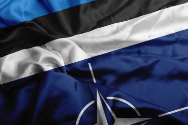 Estonya bayrağı ve Nato İpek. Bayrakları kabul et