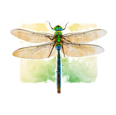 Mavi yılan kuyruğu yusufçuğunun dijital suluboya çizimi