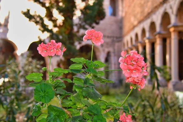 Alquzar municipio de la Sierra de Guara en la comarca del Somontano en Huesca - İspanya