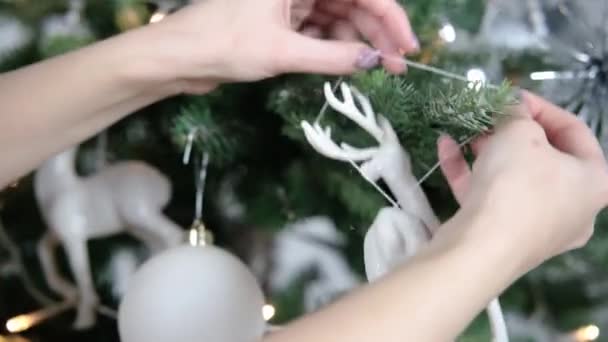 女性の手はクリスマスツリー上の鹿の形でおもちゃを掛ける クリスマスと新年の準備コンセプト — ストック動画