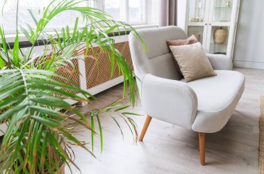 Yastıklı kanepe, yeşil bitki ve odanın içinde cam kapılı dolap.