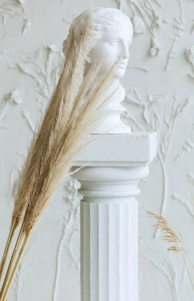 Гипсовая копия древней головы статуи и ветвей сухого растения на белом фоне. — стоковое фото