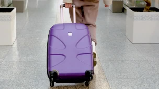 Beautiful woman with luggage in Airport waiting hall with many green plants — Stock Video