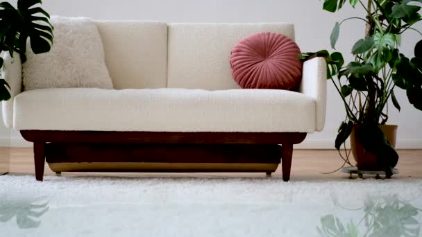 Stilvolles Interieur des Wohnzimmers mit bequemem weißen Sofa — Stockvideo