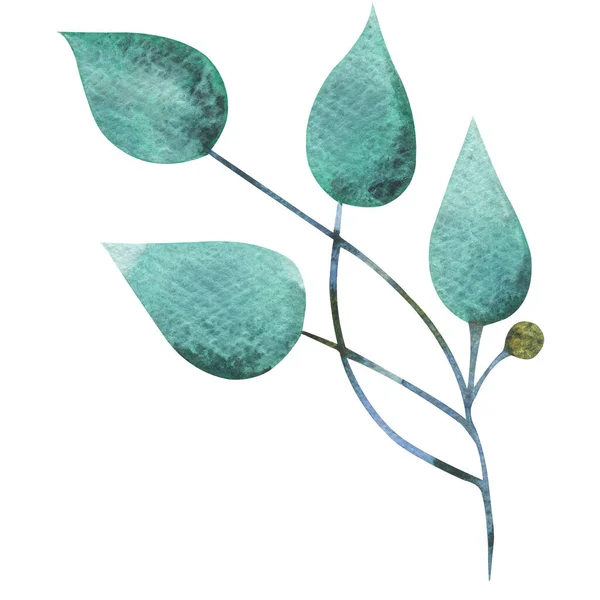 Aquarel mint blauw groene bladeren geïsoleerd element — Stockfoto