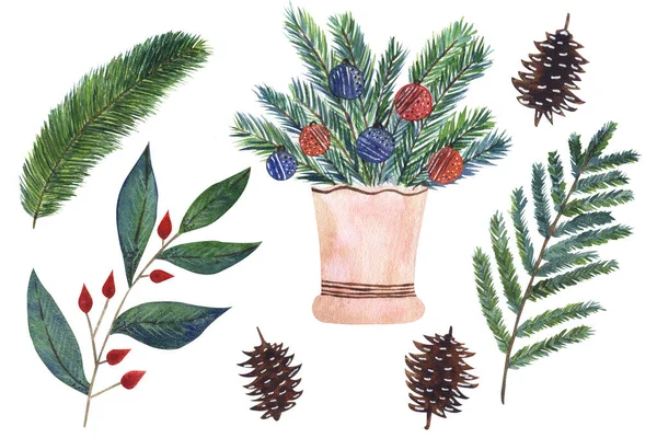 Conjunto acuarela de decoraciones navideñas con plantas y conos de pino — Foto de Stock