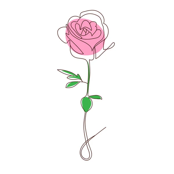 Continuous line drawing of rose flower minimalism design — Stock Photo, Image