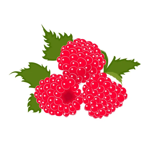 Reife süße Himbeere mit Blättern Vektor-Symbol. Himbeer-Symbolklippe. Himbeer-Cartoon-Umriss Beeren Skizze Illustration für Logo, für Produkte, Dekoration isoliert auf weißem Hintergrund. — Stockvektor