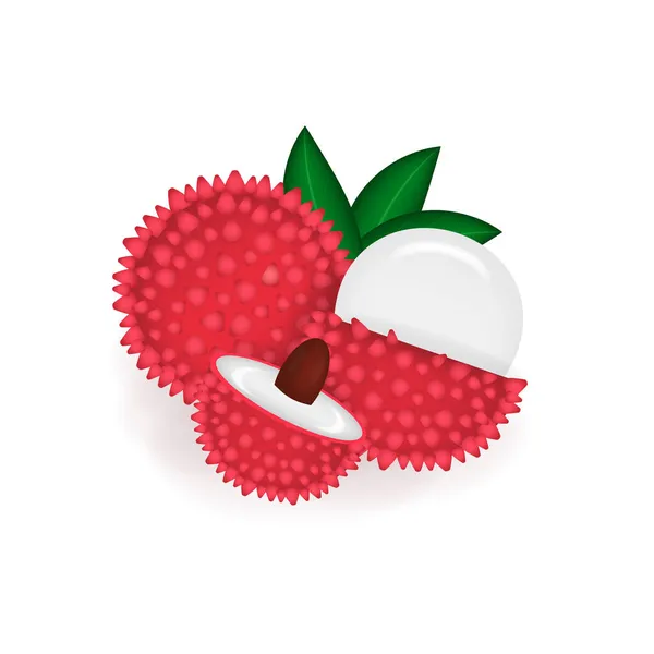 Lychee aislado sobre fondo blanco diseño realista fruta Primer plano — Vector de stock