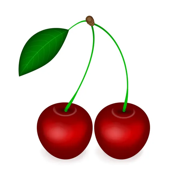 Cherry design realistico luminoso per la decorazione di imballaggio del prodotto Ciliegie rosse isolate isolate su bianco — Vettoriale Stock