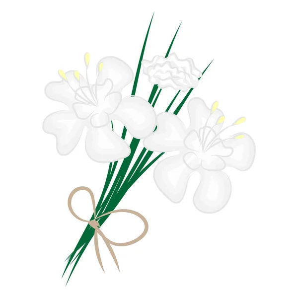 Λευκά άνθη, ανοιξιάτικο λουλούδι απομονωμένο σε λευκό φόντο — Διανυσματικό Αρχείο
