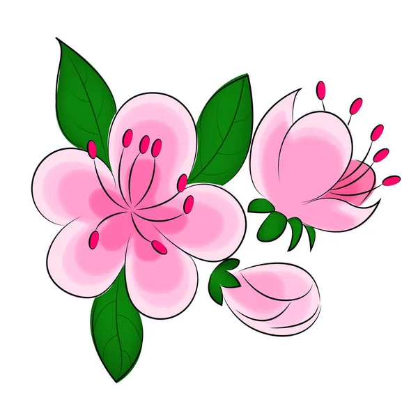 Απεικόνιση με λουλούδια sakura απομονώνονται σε λευκό φόντο σχεδιαστικά στοιχεία πρότυπα για φυλλάδια καρτ ποστάλ ετικέτες για τη συσκευασία Εκτύπωση σε υφάσματα για t-shirts λουλούδι Sakura Σχεδιασμός λουλούδι — Διανυσματικό Αρχείο