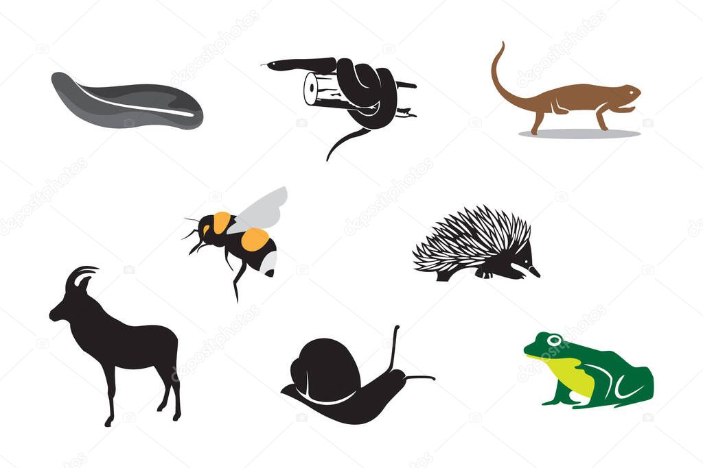 Animal logo icons set vector image