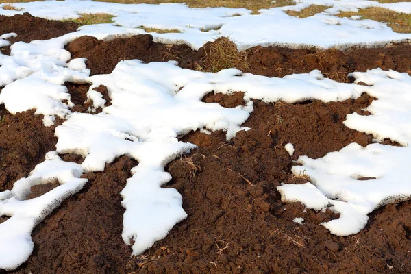 Povrch Bílého Sněhu Hnědé Orané Půdy Prohrát — Stock fotografie