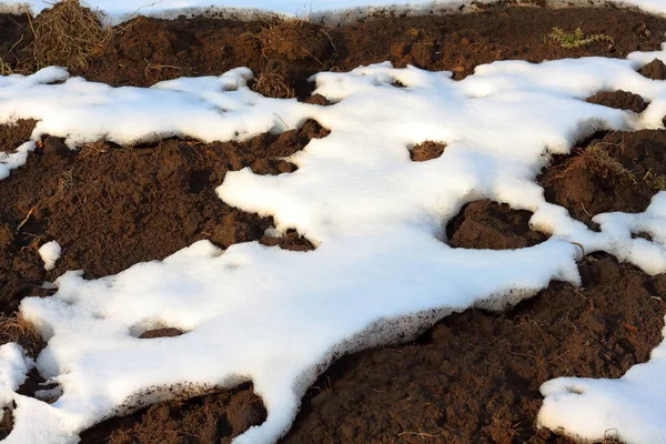 Oppervlakte Van Witte Sneeuw Bruine Geploegde Grond Verliezen — Stockfoto