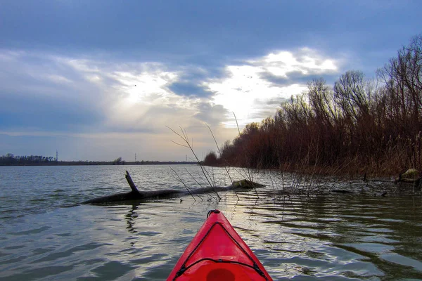 Sonbahar (kış) mevsiminde sonbahar ağaçlarıyla nehir kıyısındaki kırmızı kano manzarası. Suda sürüklenen dallar. Tuna nehri, sonbahar kanosu. Kanonun pruvasında seçici odaklanma.