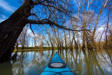 Tuna Nehri 'ndeki yüksek kaynak suları sırasında sel basmış ağaçlardaki mavi kanonun pruvasından görüntü. Sel basmış ağaçların arasında vahşi bir ormanda kano kullanmak..