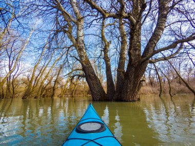 Tuna Nehri 'ndeki yüksek kaynak suları sırasında sel basmış ağaçlardaki mavi kanonun pruvasından görüntü. Sel basmış ağaçların arasında vahşi bir ormanda kano kullanmak..