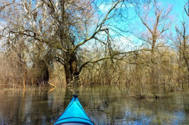 Tuna Nehri 'ndeki yüksek kaynak suları sırasında sel basmış ağaçlardaki mavi kanonun pruvasından görüntü. Sel basmış ağaçların arasında vahşi bir ormanda kano kullanmak..
