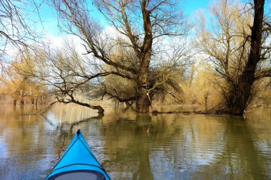 Tuna Nehri 'ndeki yüksek kaynak suları sırasında sel basmış ağaçlardaki mavi kanonun pruvasından görüntü. Sel basmış ağaçların arasında vahşi bir ormanda kano kullanmak..