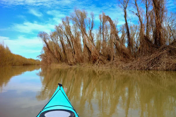 Vista Dalla Prua Kayak Blu Alberi Allagati Durante Acqua Alta — Foto Stock