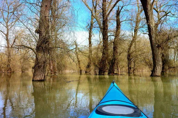 Tuna Nehri 'ndeki yüksek kaynak suları sırasında sel basmış ağaçlardaki mavi kanonun pruvasından görüntü. Sel basmış ağaçların arasında vahşi bir ormanda kano kullanmak..