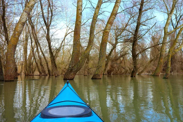 Uitzicht Vanaf Boeg Van Blauwe Kajak Overstroomde Bomen Tijdens Lente — Stockfoto