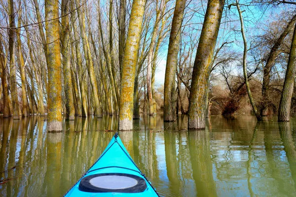 Vue Proue Kayak Bleu Sur Les Arbres Inondés Pendant Les — Photo