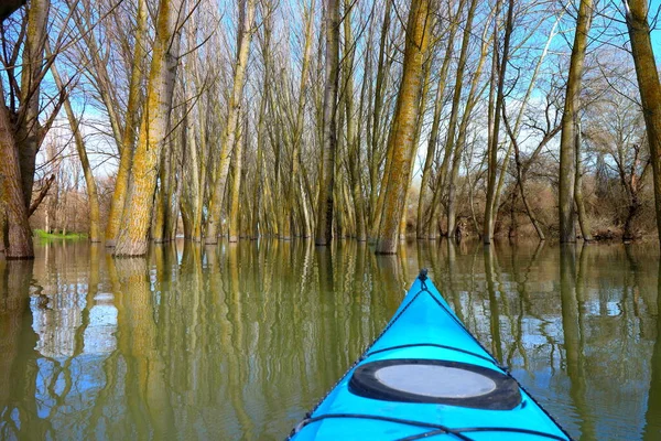 View Bow Blue Kayak Flooded Trees Spring High Water Danube — Stock Photo, Image