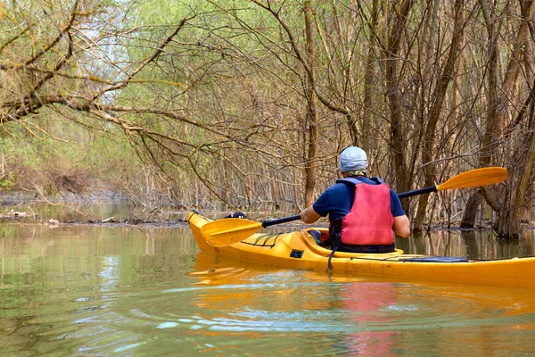 在泛滥成灾的树林中乘坐黄色皮划艇的人 在多瑙河的荒野地区 在多瑙河生物圈保护区春天的高水中 在被洪水淹没的树木中划船 背景色 — 图库照片