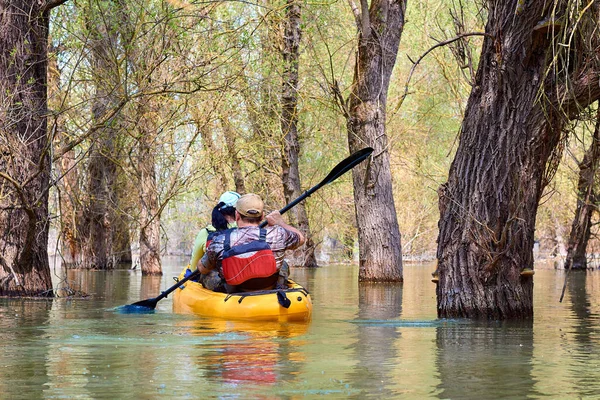 Pareja Casada Remando Kayak Amarillo Áreas Silvestres Río Danubio Entre — Foto de Stock