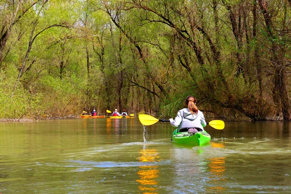 Girl Green Kayak Flooded Trees Kayaking Wilderness Areas Danube River — Stock Photo, Image