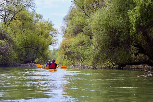 Dos Kayaks Amarillos Áreas Silvestres Río Danubio Entre Árboles Inundados — Foto de Stock