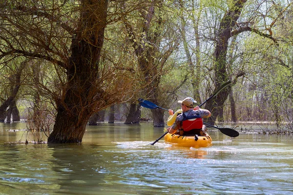 Par Reman Kayak Amarillo Áreas Silvestres Río Danubio Entre Bosques — Foto de Stock