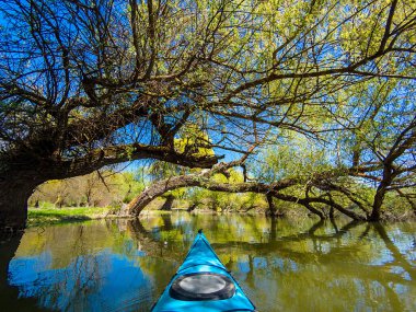 Tuna Nehri 'nin yüksek sularındaki sel basmış ağaçlardaki mavi kano kürekçisinin bakış açısından çekildi. Tuna Nehri 'nin yüksek sularındaki sel basmış ağaçların arasındaki ıssız alanlarda kano..