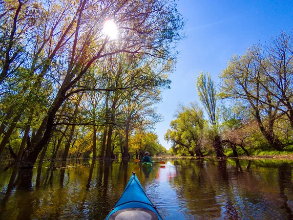Shot Point View Paddler Blue Kayak Flooded Trees Spring High — Stock Photo, Image
