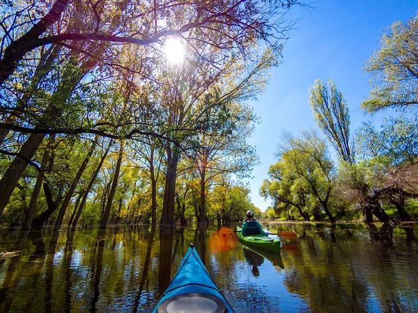 ドナウ川の春の高水で浸水した木に青いカヤックのパドラーの観点から撮影 ドナウ川の春の高水で浸水した木々の間の荒野地帯でカヤック — ストック写真