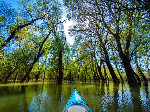 Tuna Nehri 'nin yüksek sularındaki sel basmış ağaçlardaki mavi kano kürekçisinin bakış açısından çekildi. Tuna Nehri 'nin yüksek sularındaki sel basmış ağaçların arasındaki ıssız alanlarda kano..
