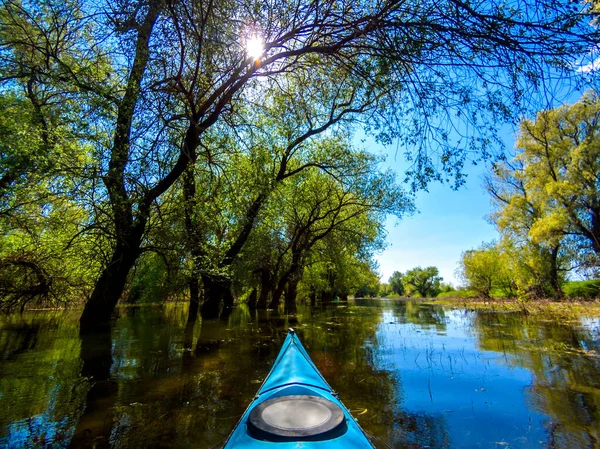 Gedreht Vom Standpunkt Des Paddlers Eines Blauen Kajaks Auf Überfluteten — Stockfoto