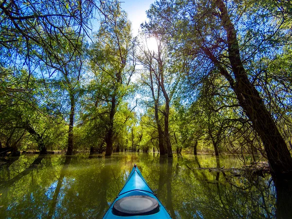 Shot Point View Paddler Blue Kayak Flooded Trees Spring High — Stock Photo, Image